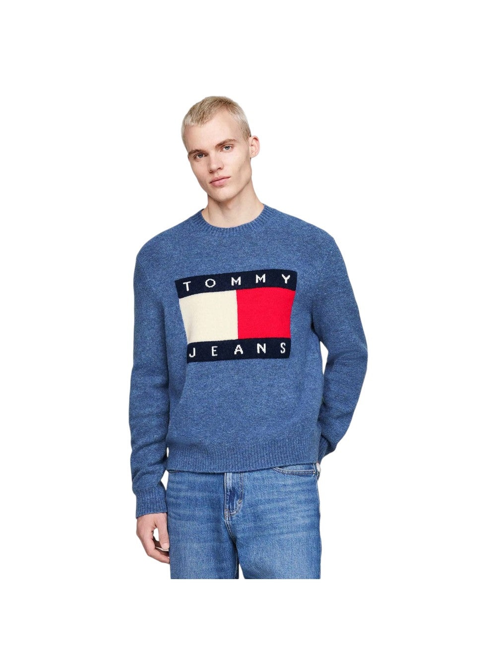 TOMMY JEANS Men's Sweater DM0DM19442