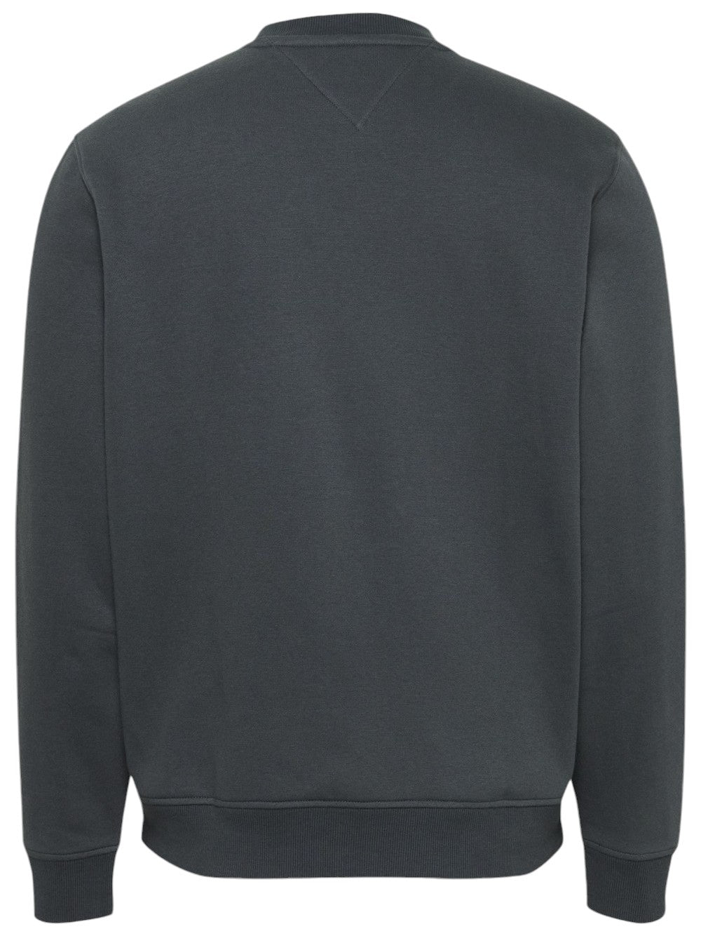 TOMMY JEANS Men's Sweatshirt DM0DM20741