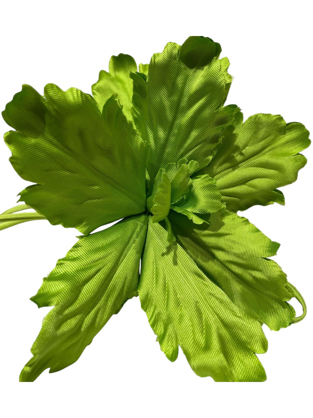 LIU JO BROOCH Women CA5405T8592