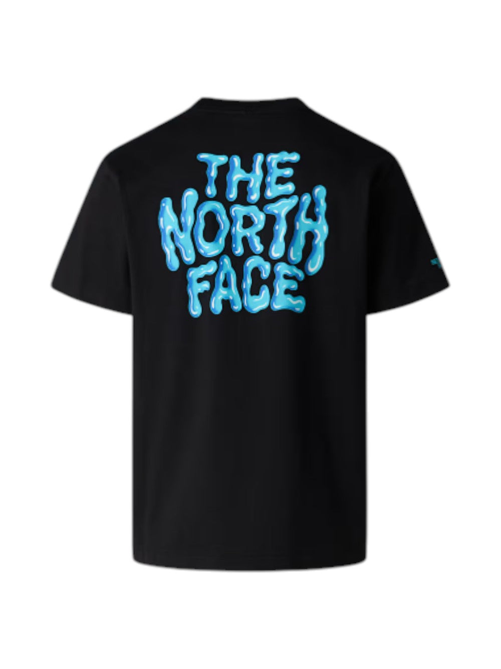 The North Face T-SHIRT Uomo M DRIP LOGO RX SS TEE NF0A8GABJK31