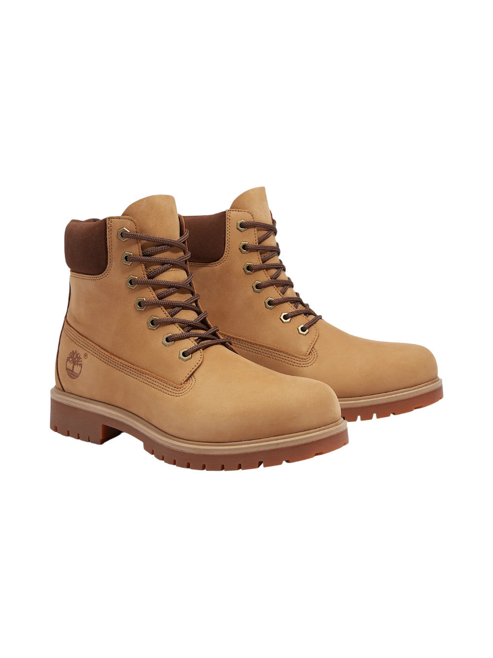 Timberland Stivaletti Uomo ESSENTIAL 6 IN LACE WATERPROOF TB0A6CH6EM51
