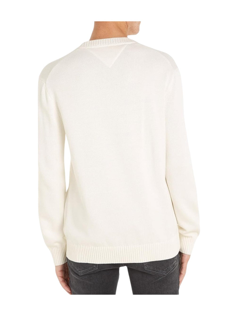 TOMMY JEANS Men's Sweater DM0DM18370