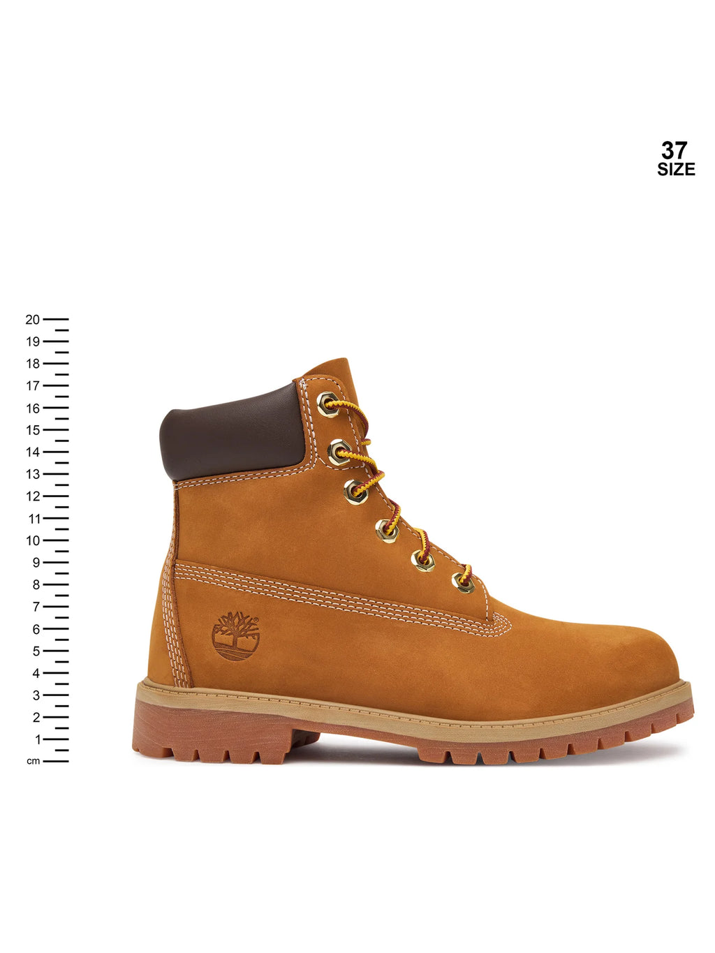 Timberland Stivaletti Donna PREM 6 IN LACE WATERPROOF BOOT TB1129097131