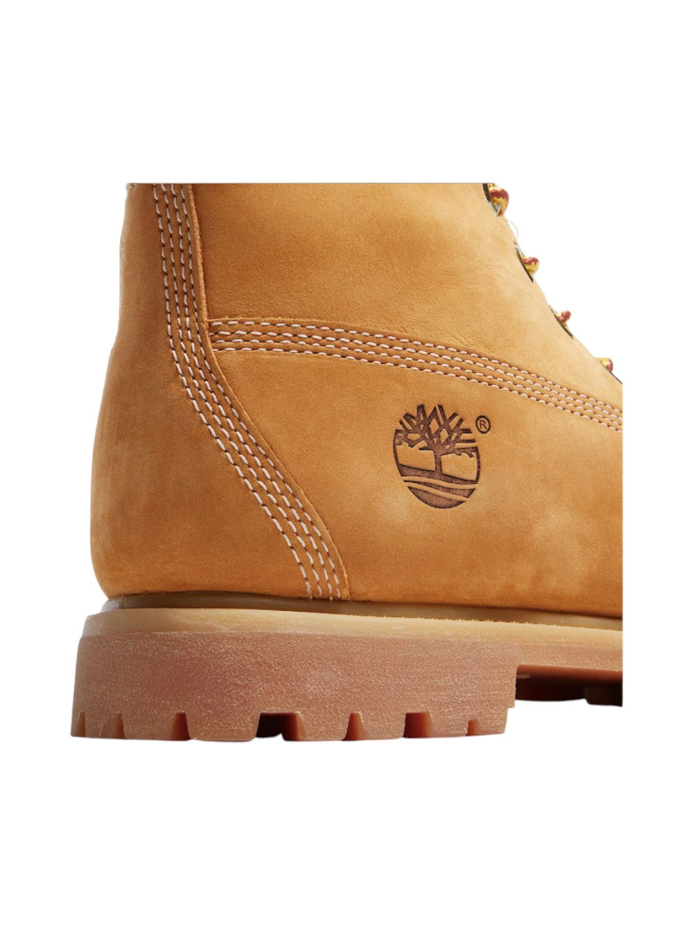 Timberland stivali Donna Timberland Premium 6 INCH LACE UP WATERPROOF BOOT WHEAT TB1103617131