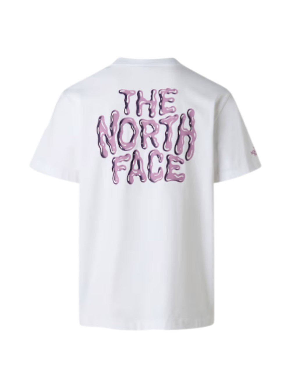 The North Face T-SHIRT Uomo M DRIP LOGO RX SS TEE NF0A8GABFN41