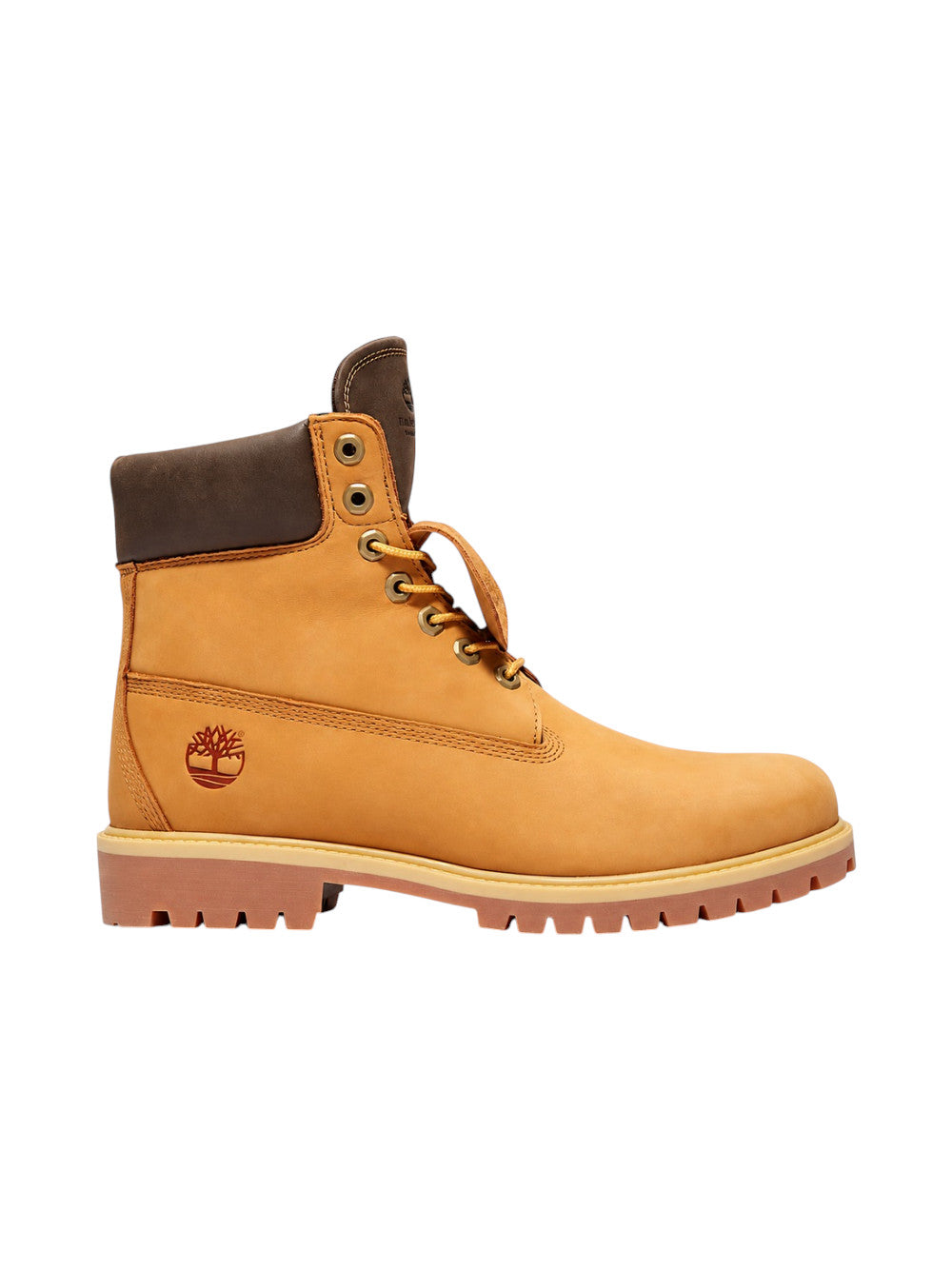 Timberland stivali Uomo PREM 6 IN LACE WATERPROOF TB0A2M847541
