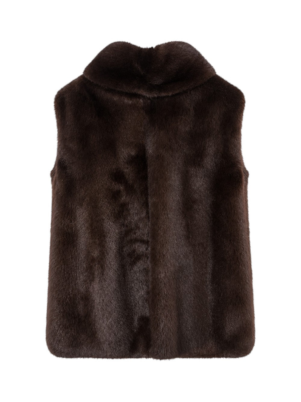 Luigi Lucarella Pelliccia Donna  Blouson