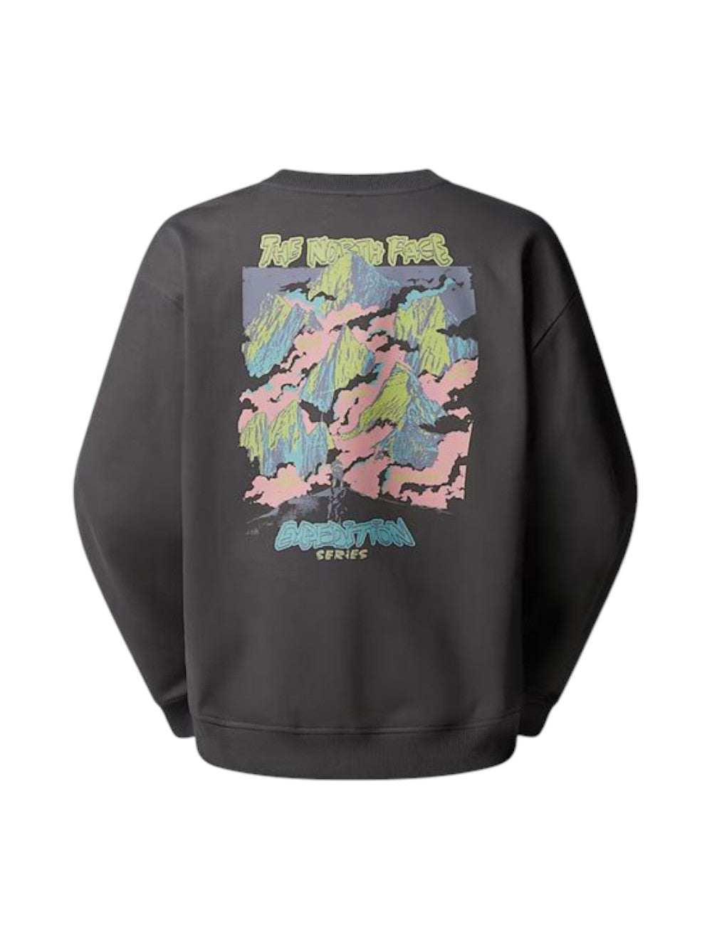 The North Face Felpa Uomo U EXPEDITION CELEBRATION OVERSIZED CREW NF0A8E3GRHI1