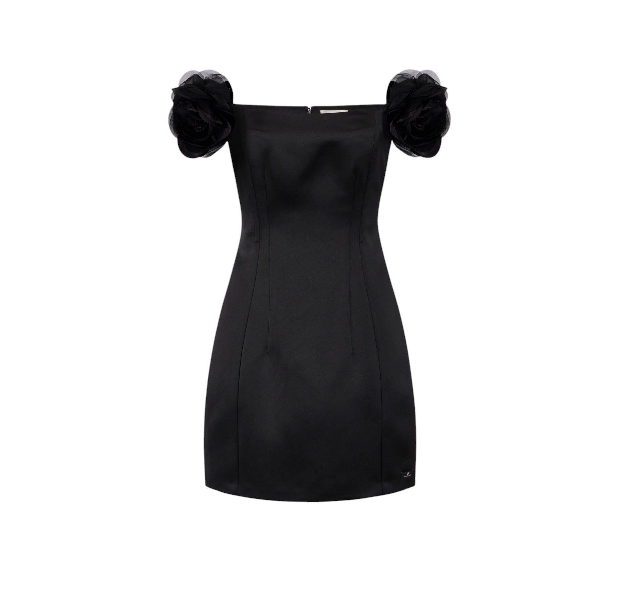 Elisabetta Franchi Women's Dress ABT5152E2