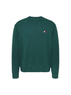 TOMMY JEANS Men's Sweater DM0DM20706