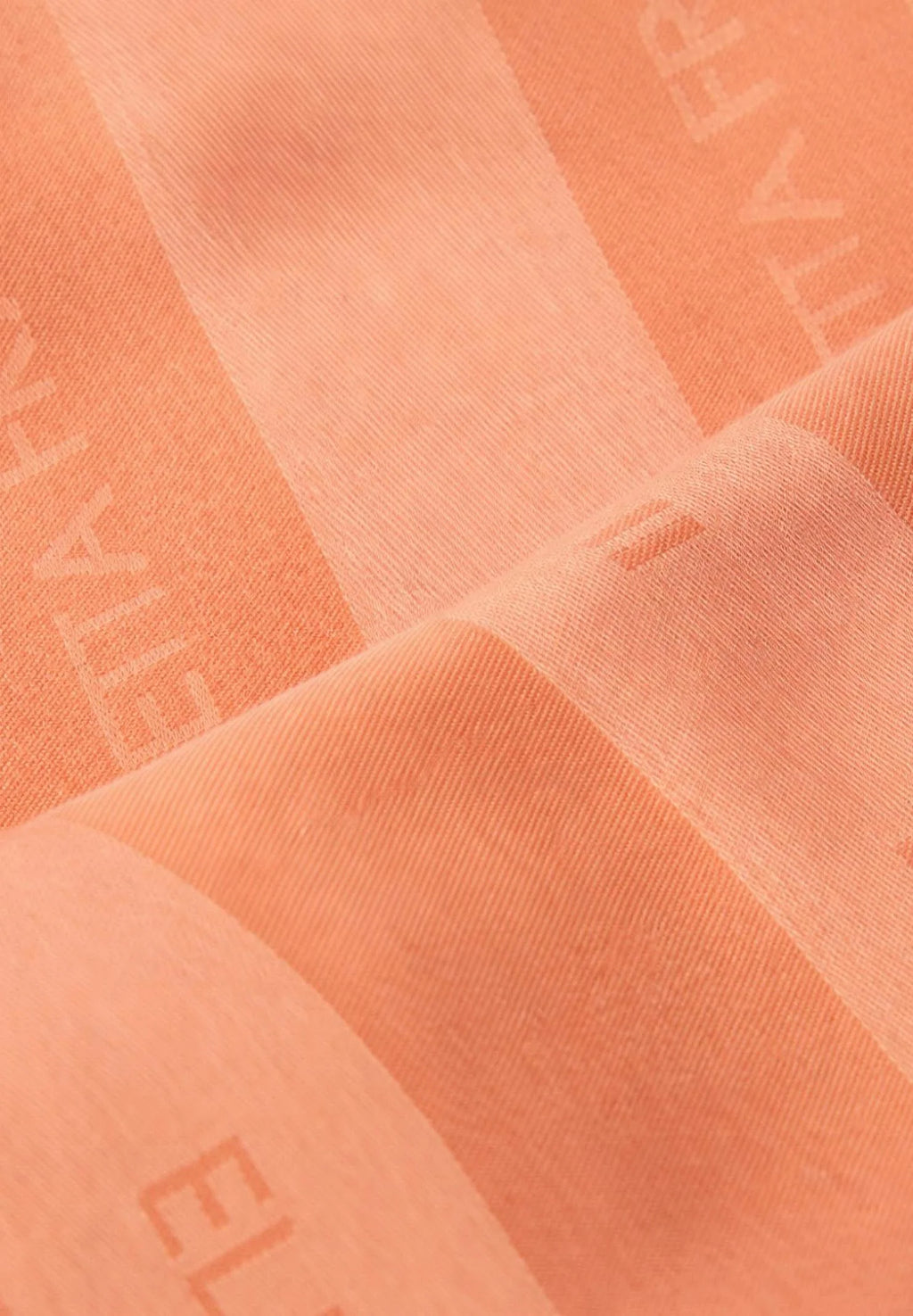 Elisabetta Franchi Foulard Donna  SC14F61E2408