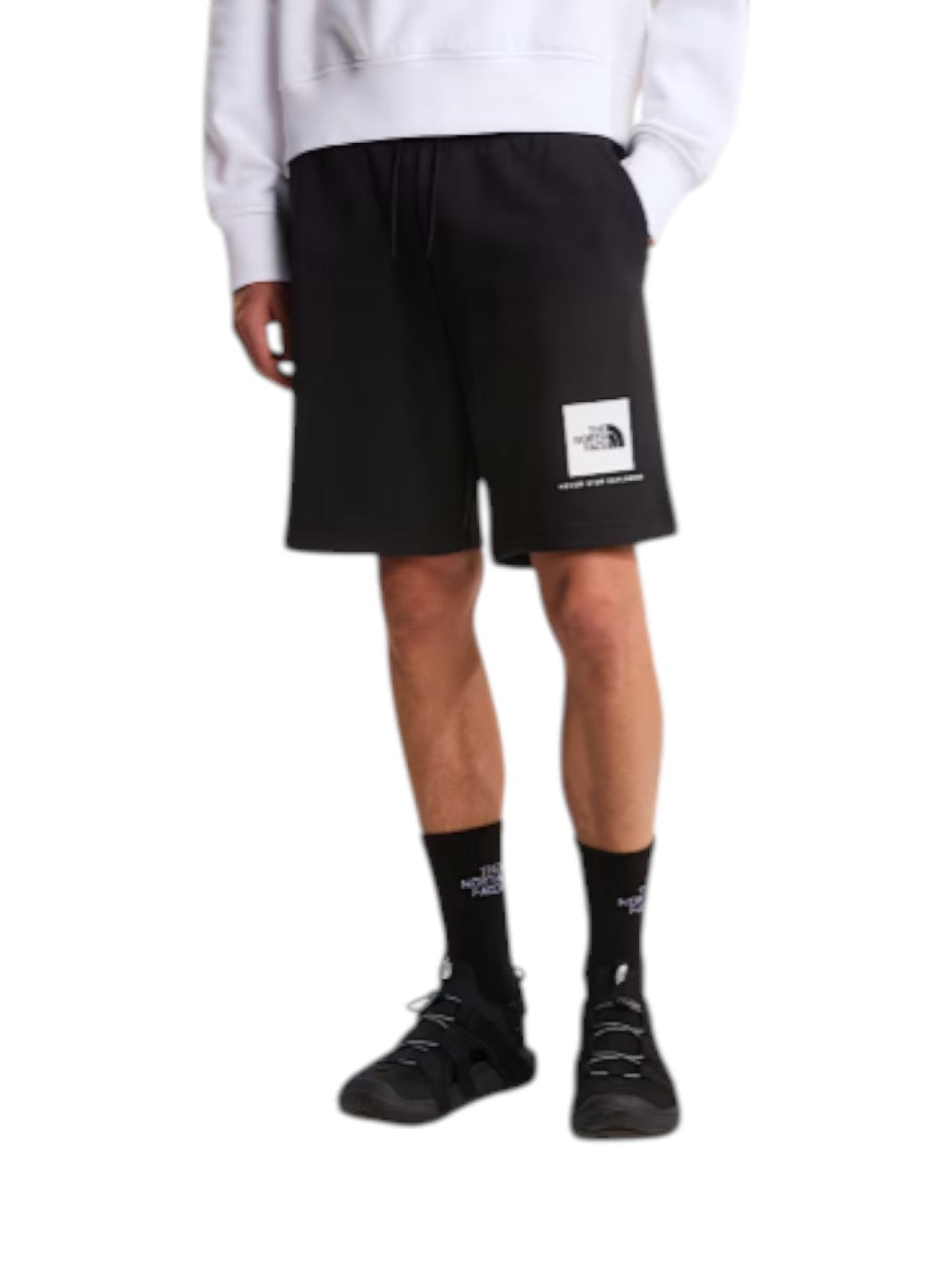 The North Face Bermuda Uomo M BOX NSE LT RG NF0A8GQ8JK31