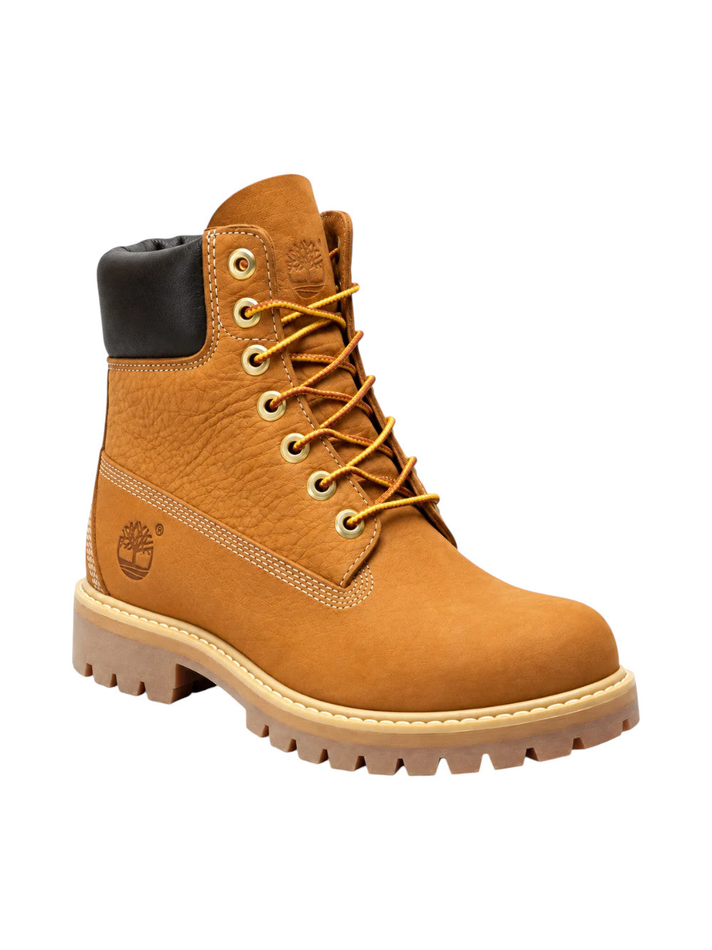 Timberland stivali Uomo HRTG 6 IN LACE WATERPROOF TB0A29U2EN11