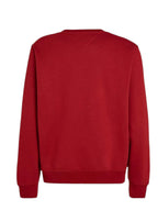 TOMMY JEANS Men's Sweatshirt DM0DM20741