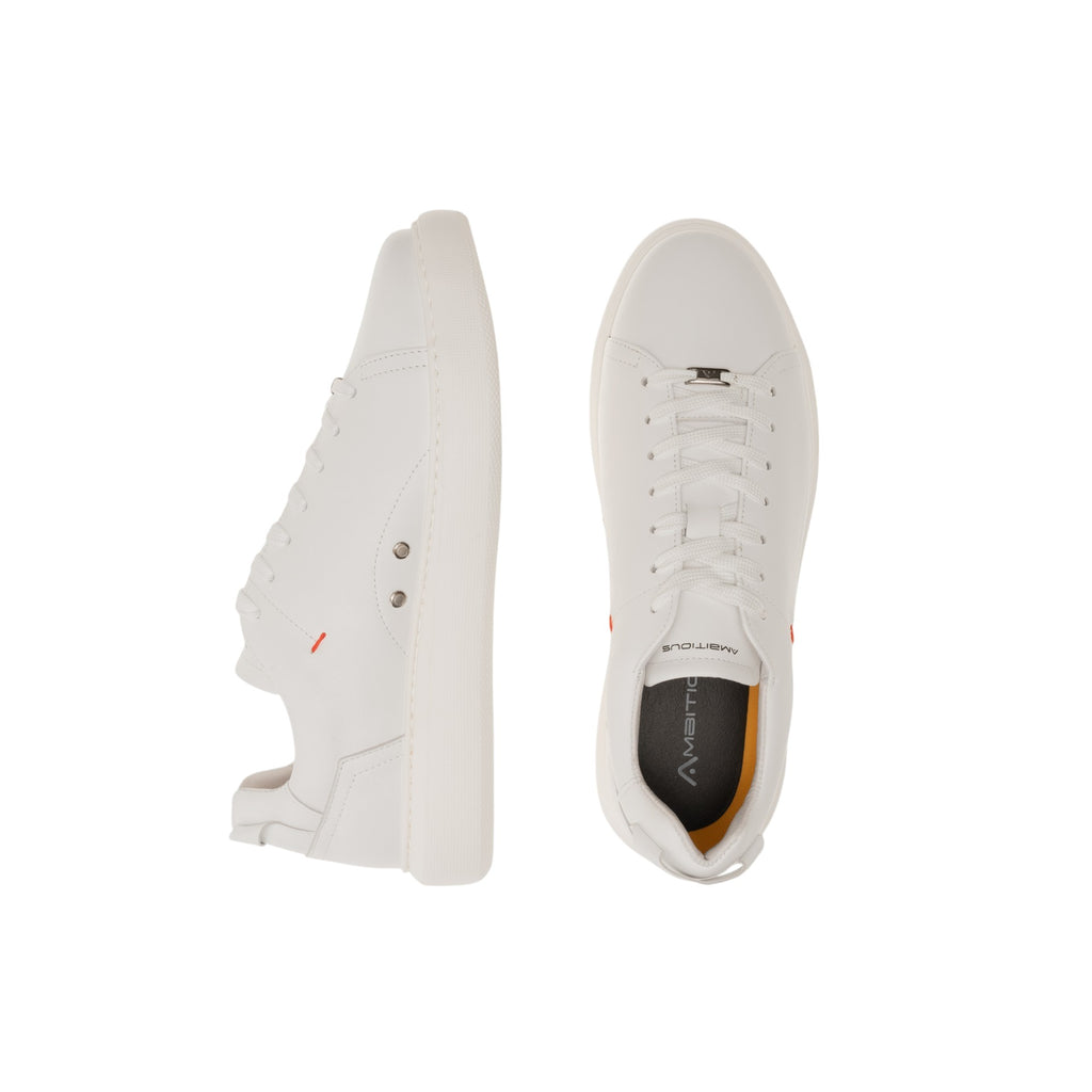 AMBITIOUS SCARPA Uomo 10443A