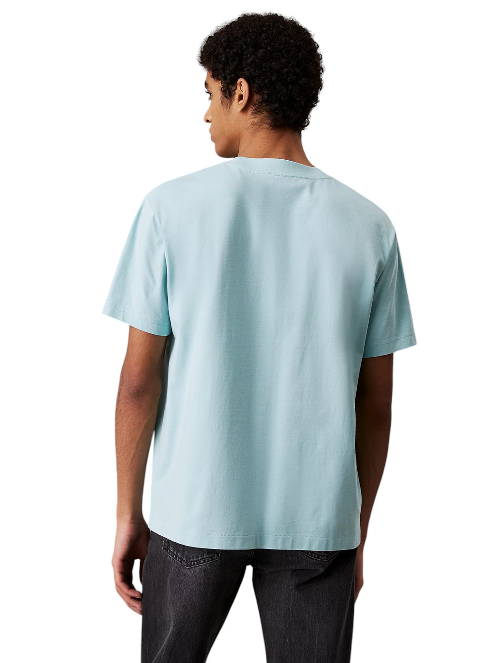 calvin klein T-SHIRT Men J30J327494
